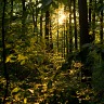 D700 White Balance & Exposure Tests